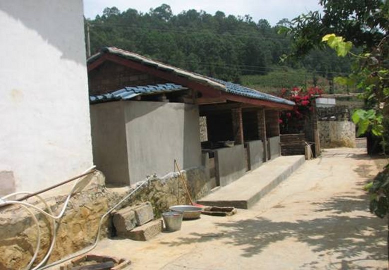 20091118192238_conew386.jpg