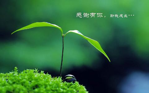 u=2047496283,1332980200&amp;fm=23&amp;gp=0.jpg