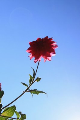 t013eb1455f38c4ef83.jpg