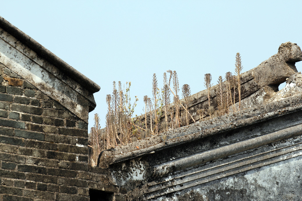 _MG_79422013-10-20.JPG