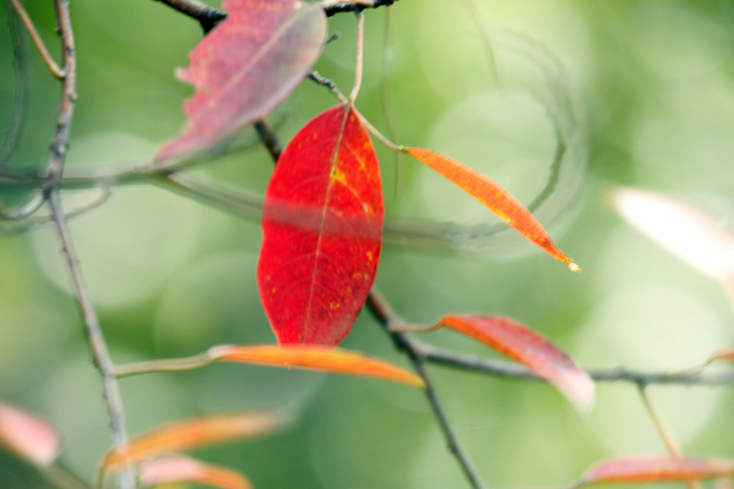 _MG_86362013-10-20.JPG
