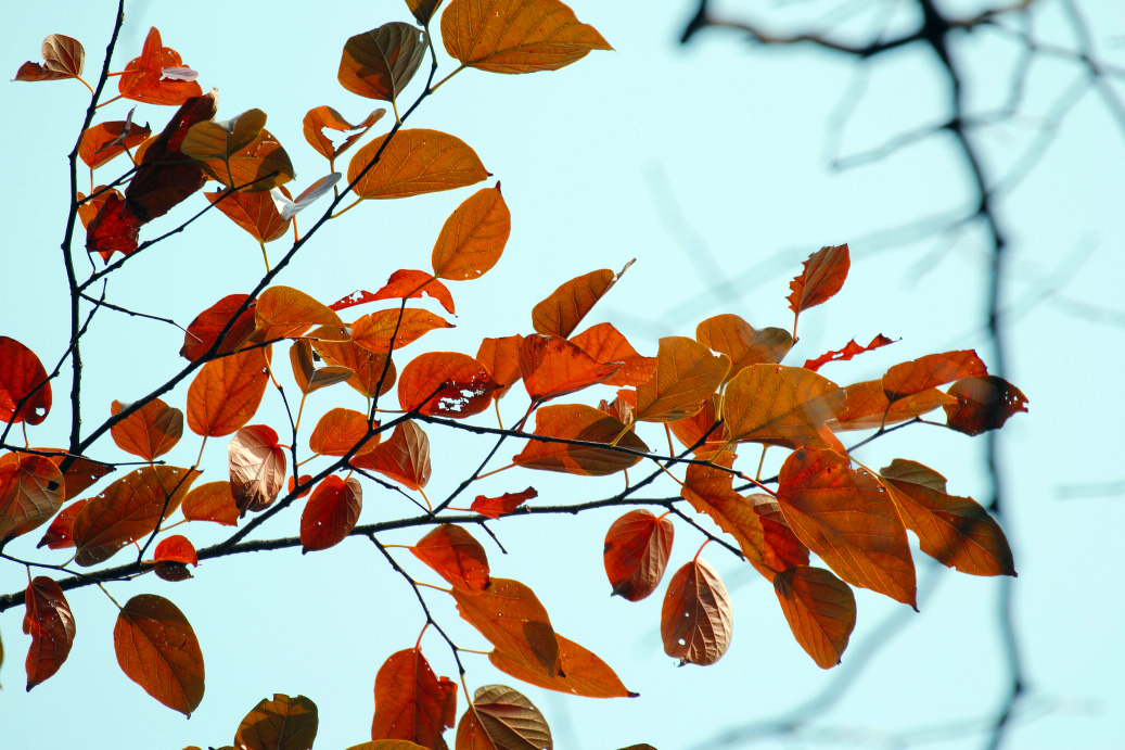 _MG_87602013-10-20.JPG