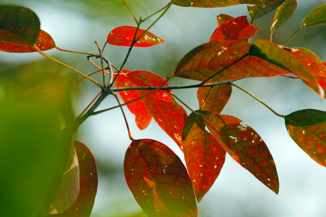 _MG_85452013-10-20.JPG