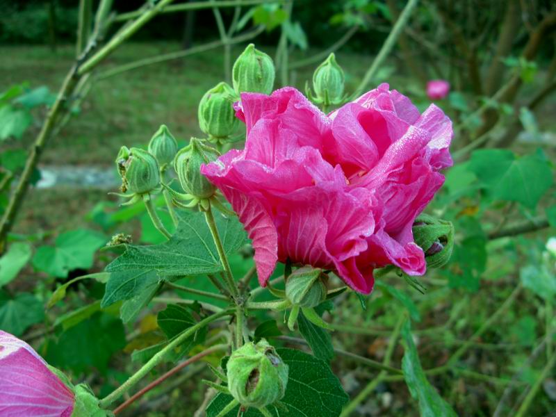 IMG_0639.JPG