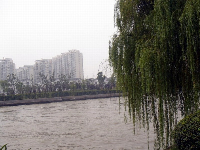 CMG_2113.jpg