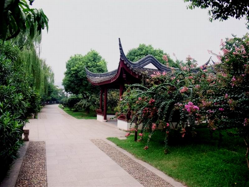 CMG_2109.jpg