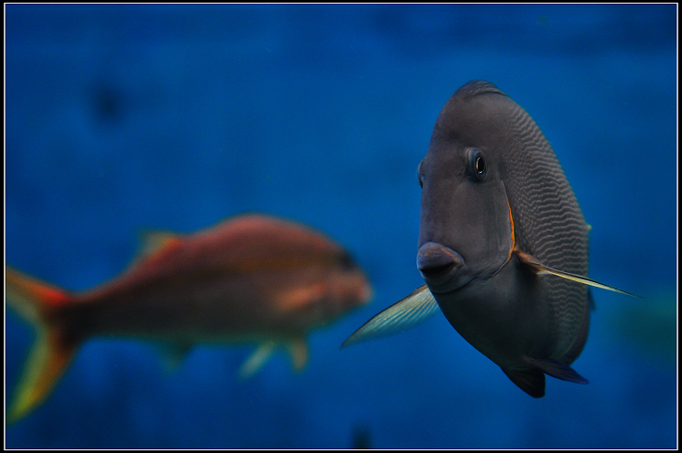 DSC_7509.JPG