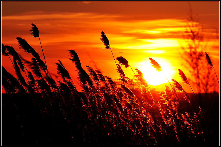 DSC_2331.JPG