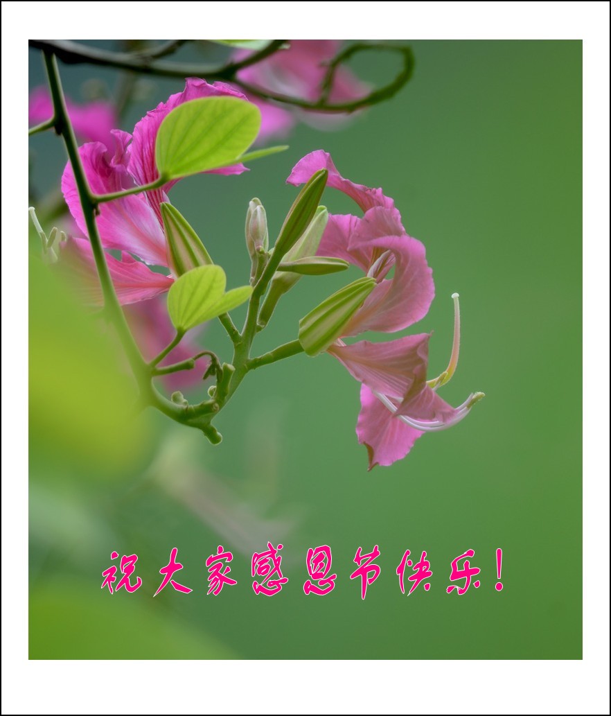 DSC_0658_conew2.jpg