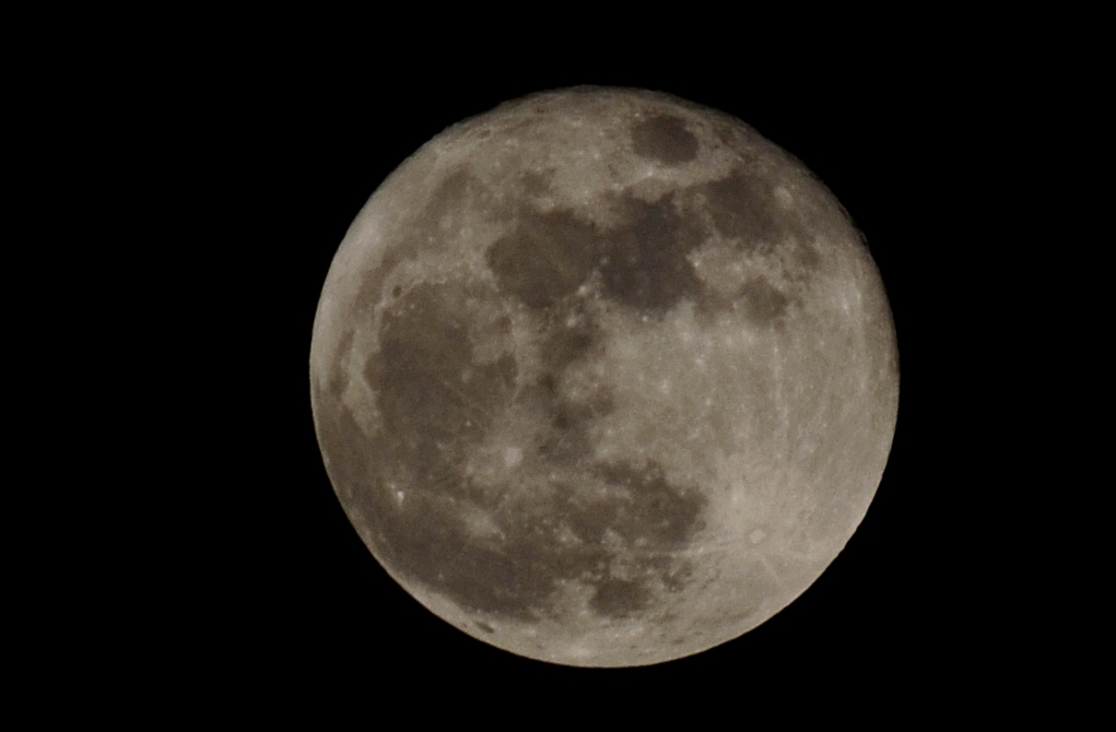 DSC_0419.JPG