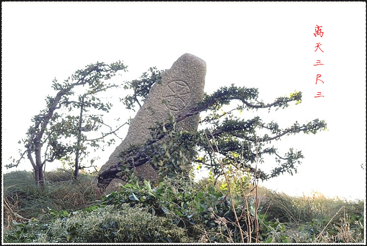 DSCN9622.jpg