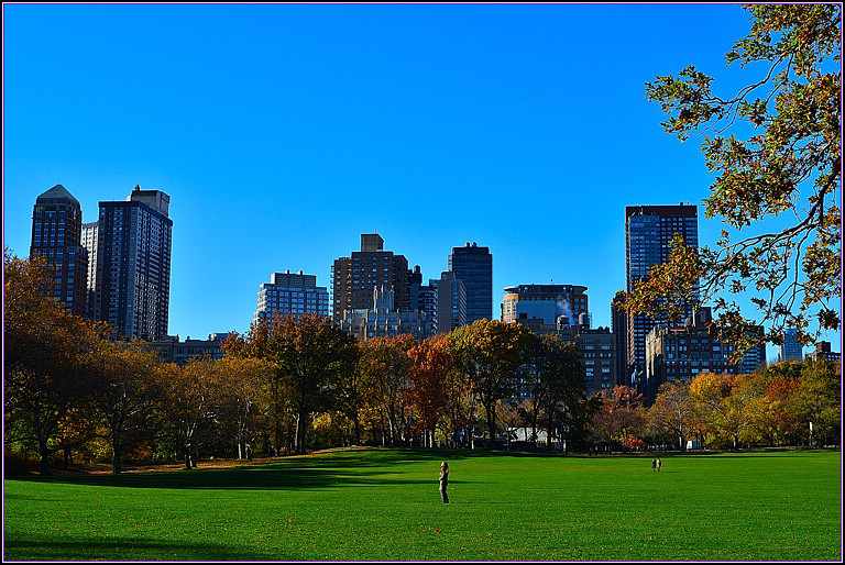 DSC_1116.jpg
