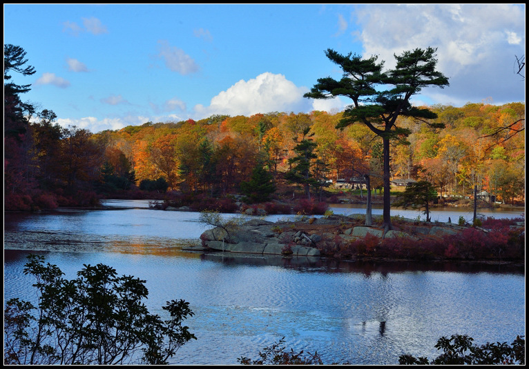 DSC_0641.jpg