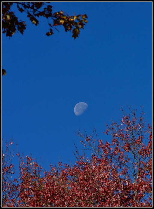 DSC_0551.jpg