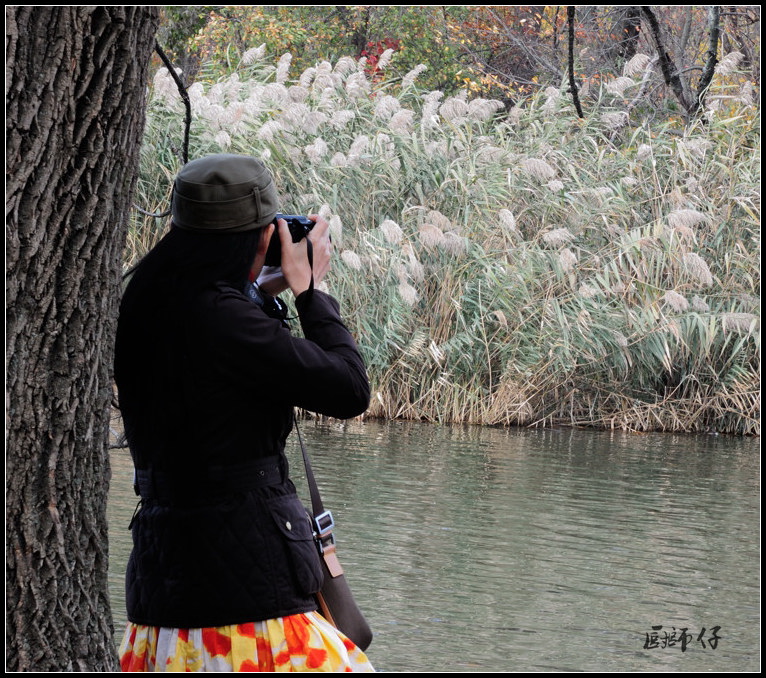 DSCN1541.jpg