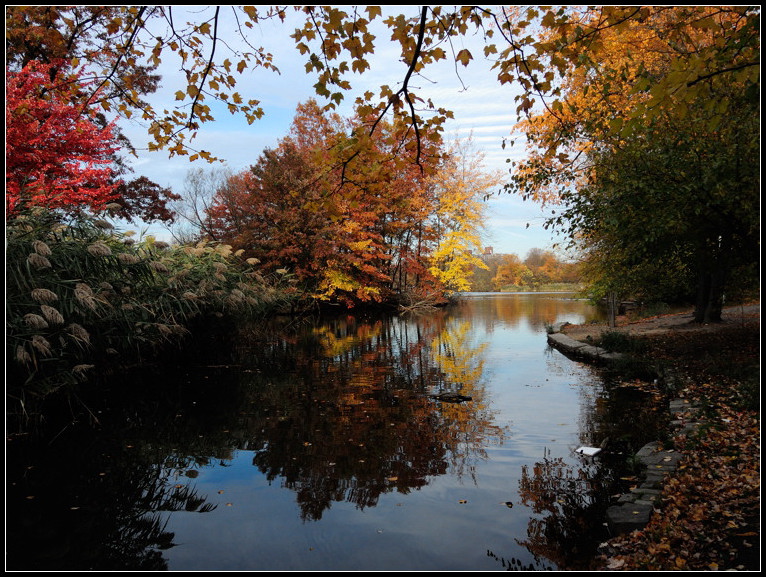 DSCN1572.jpg