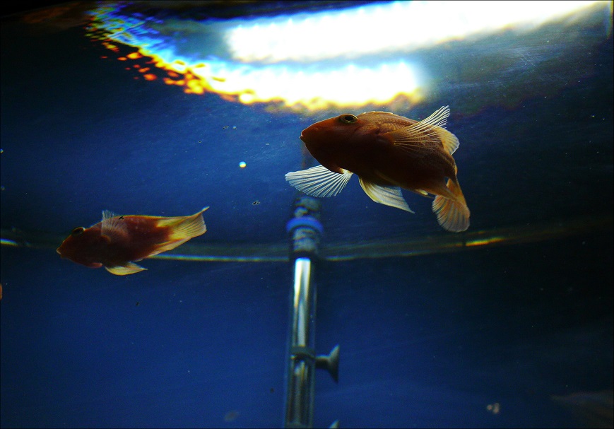 l1130322_conew1.jpg