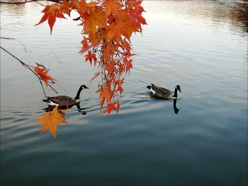 l1110300_conew1.jpg