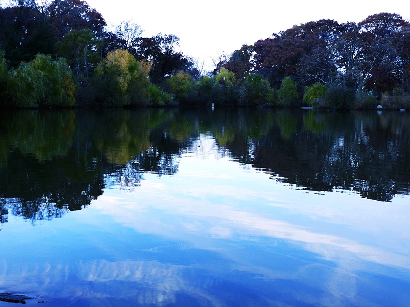 l1110398_conew1.jpg