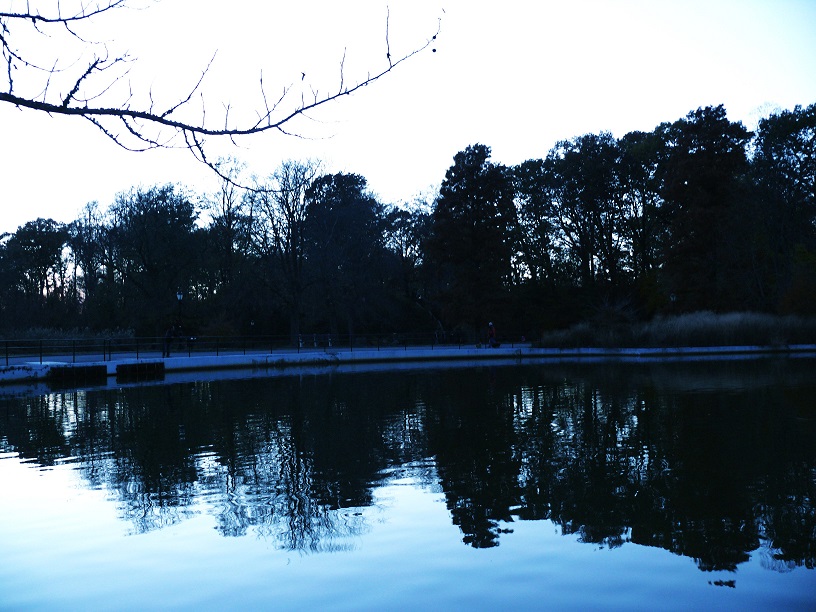 l1110508_conew1.jpg