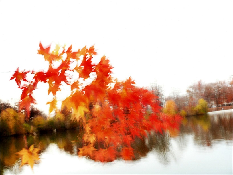 l1110519_conew7.jpg