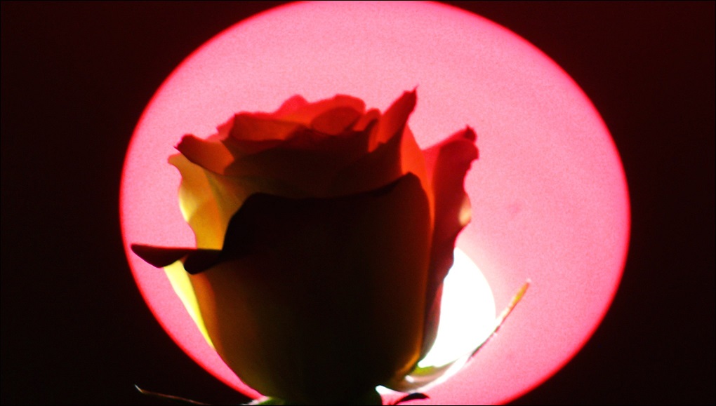 l1120630_conew2.jpg