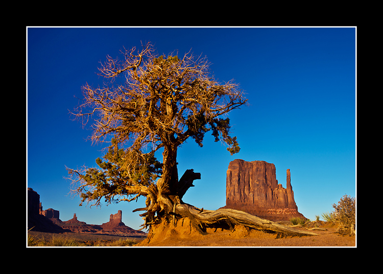 DSC_3168C1.jpg