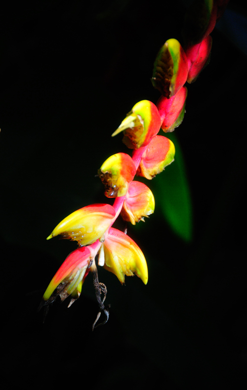 DSC_8149.jpg