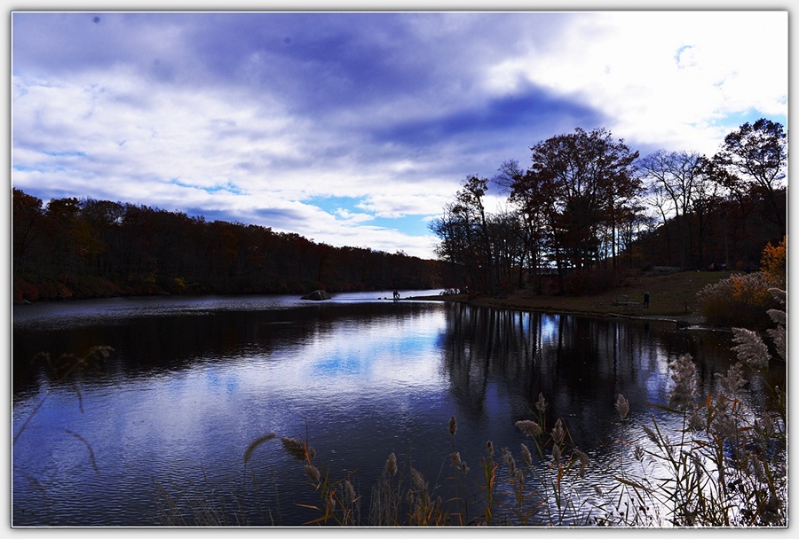 DSC_5318_1.jpg