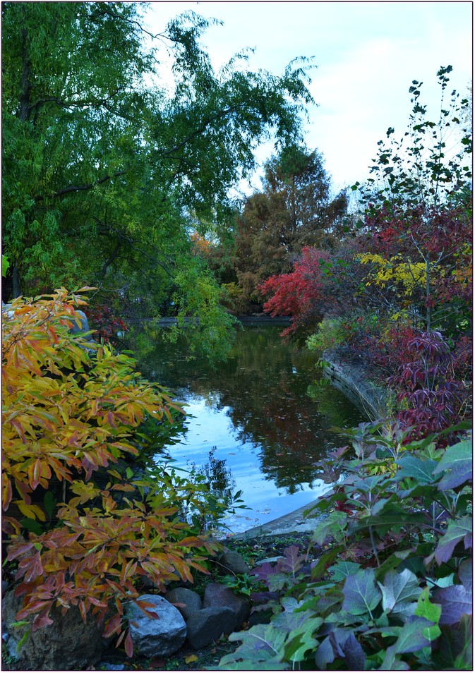 DSC_5654.jpg