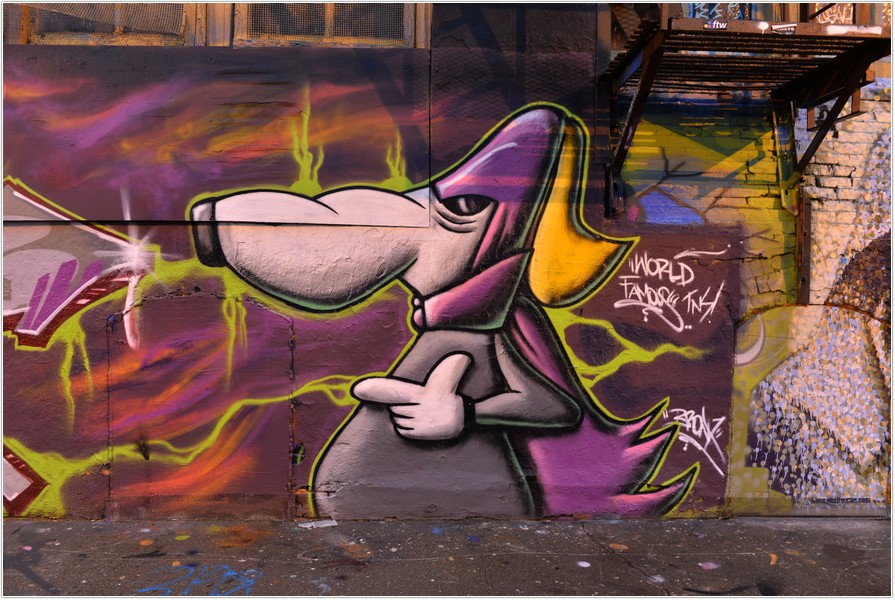 DSC_6485.jpg