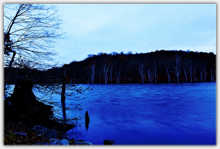 DSC_4816.jpg