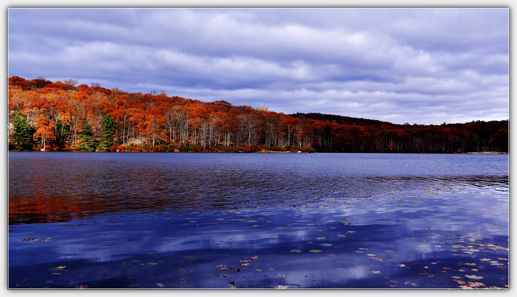 DSC_5282.jpg