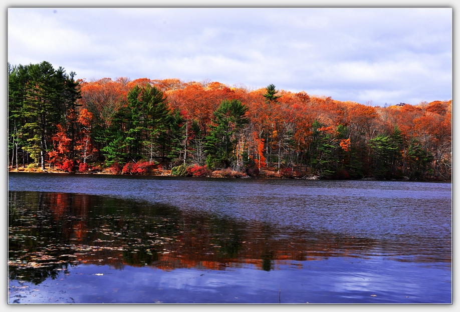 DSC_5280.jpg