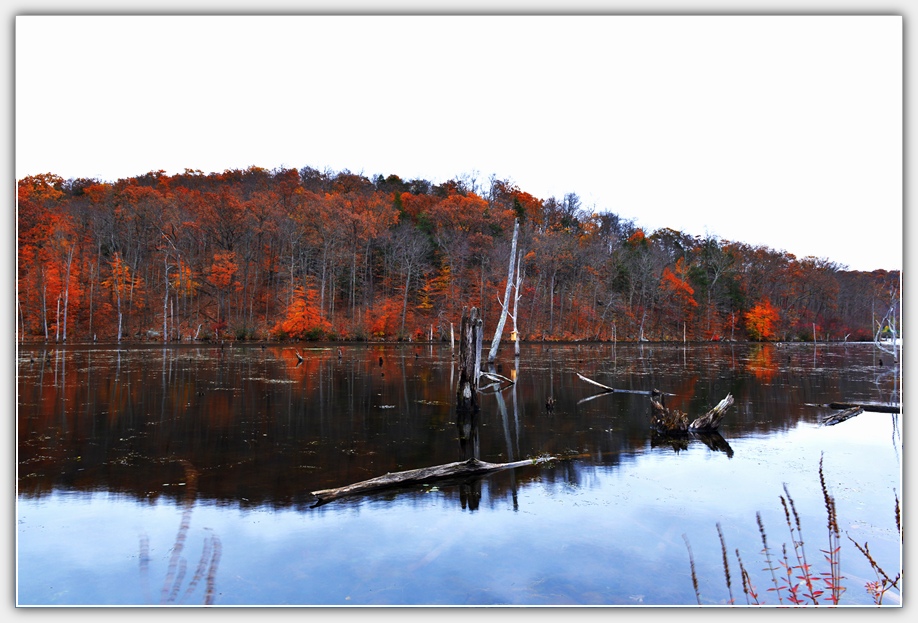 DSC_4873.jpg