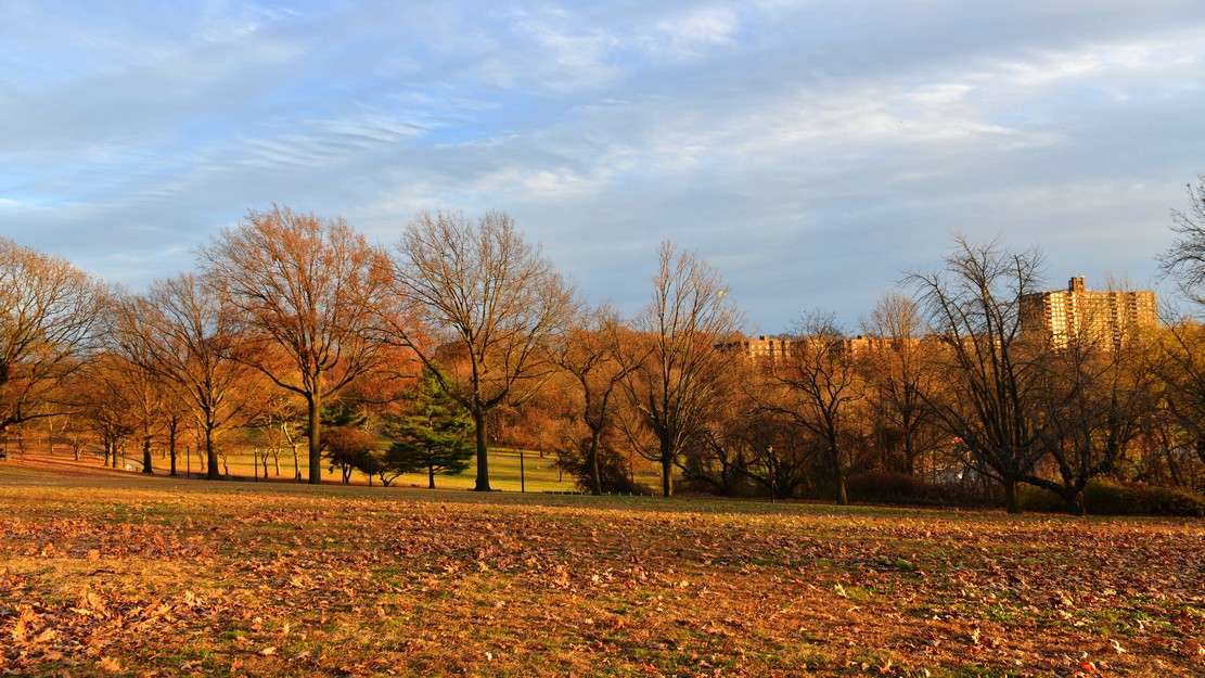 DSC_6562.jpg