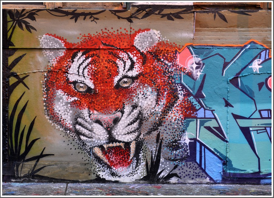 DSC_6465.jpg