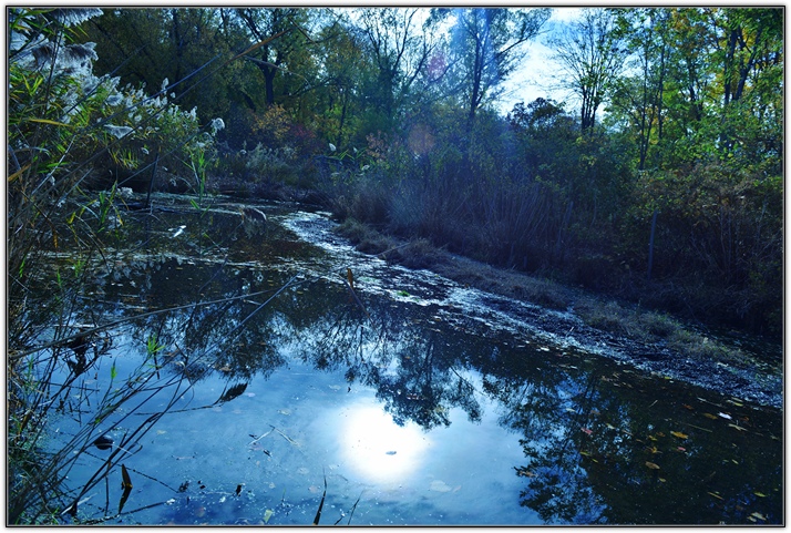 DSC_5460.jpg