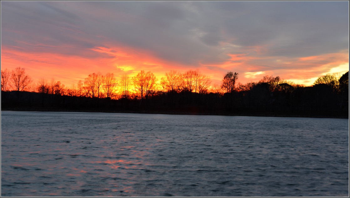 DSC_6643.jpg