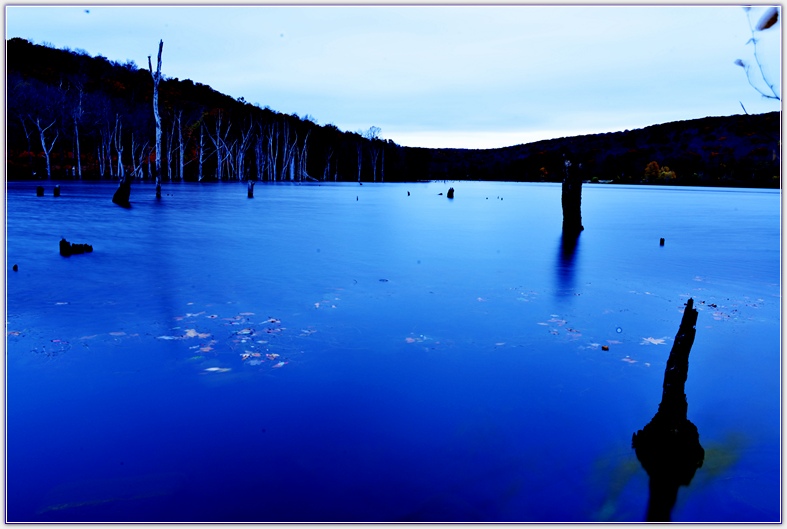 DSC_4793.jpg