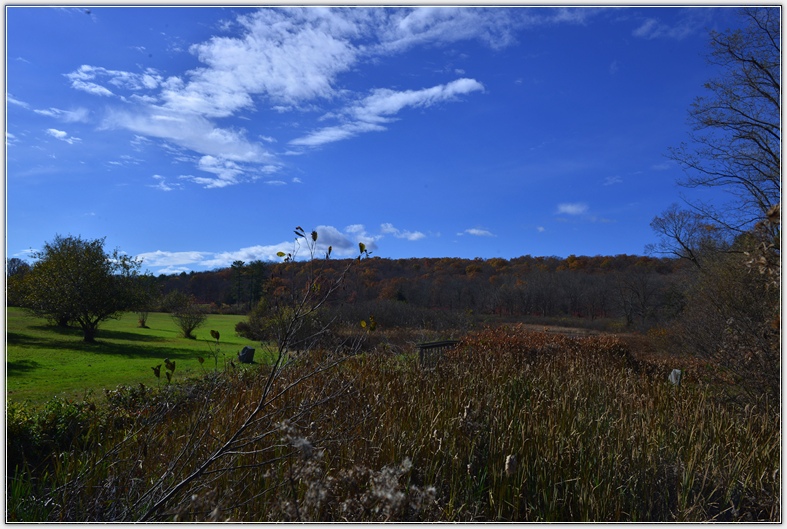 DSC_5240.jpg