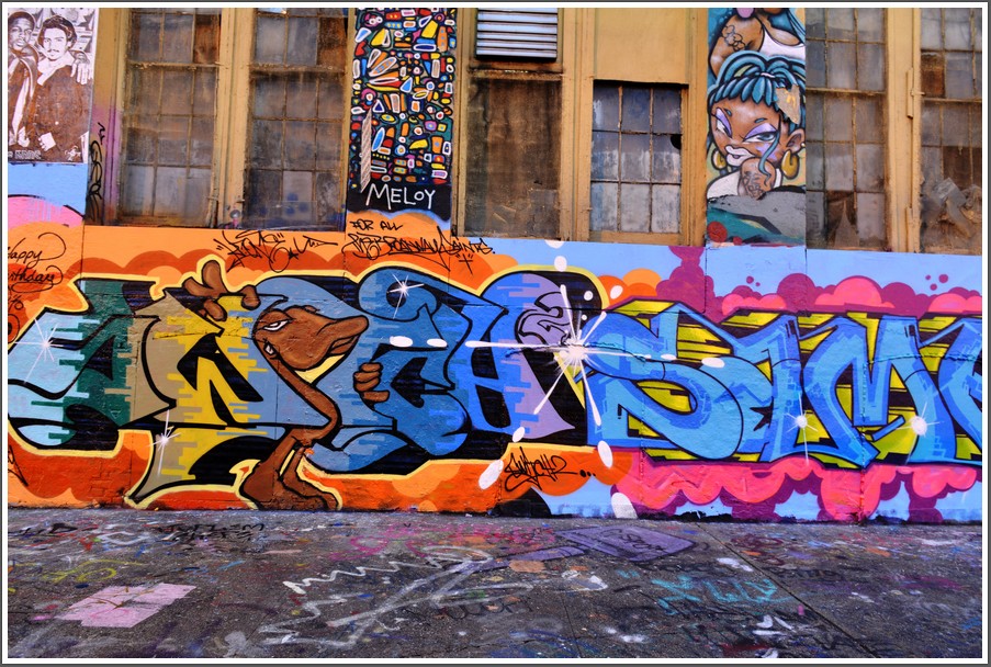 DSC_6477.jpg