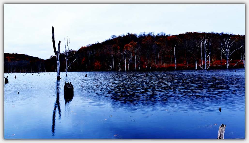 DSC_4831.jpg