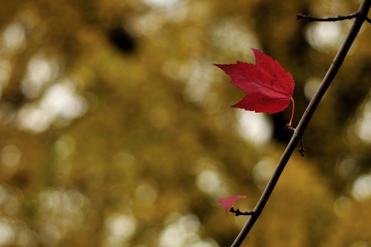 _DSC3186_01.JPG