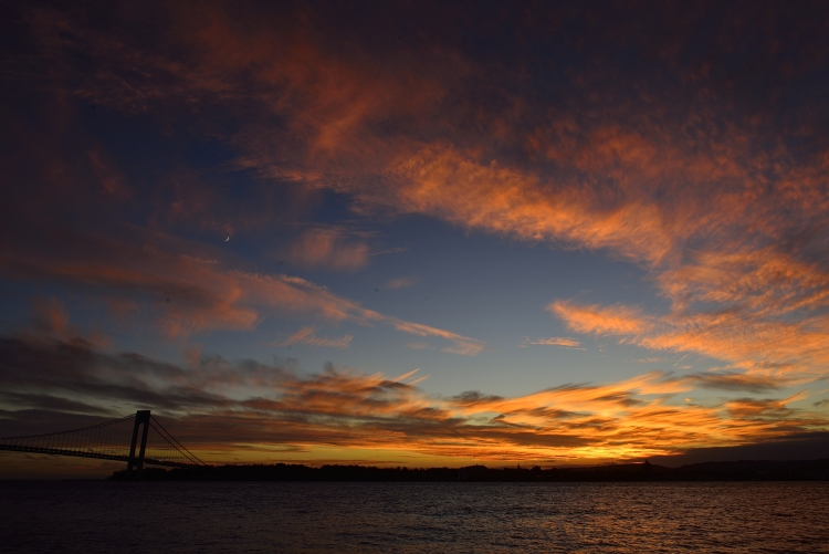 _DSC6953_01.JPG