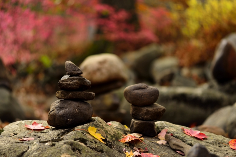 _DSC6797_01.JPG