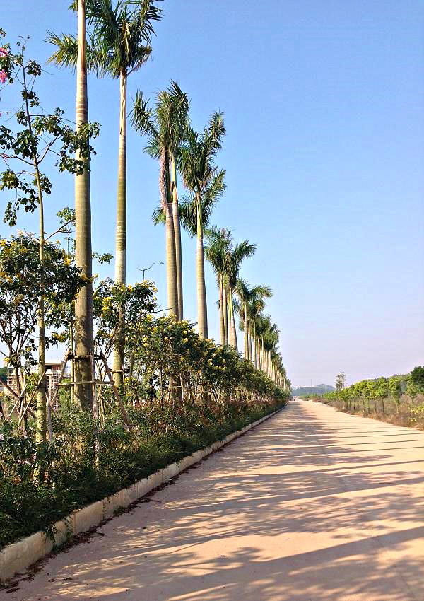 2013-11-30 ɽ 086.JPG