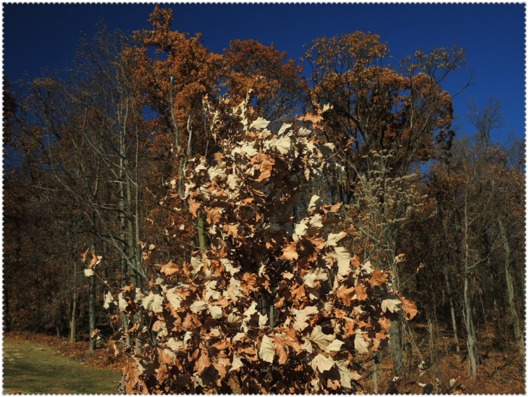 DSCN2890.jpg