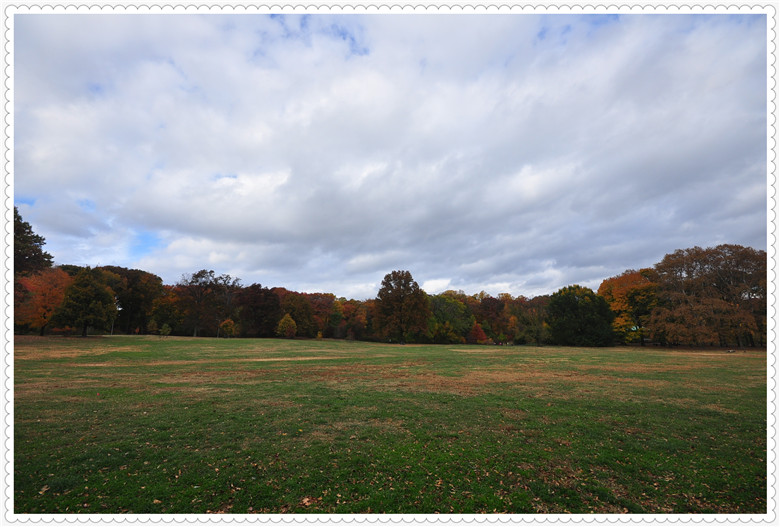 DSC_0263.jpg