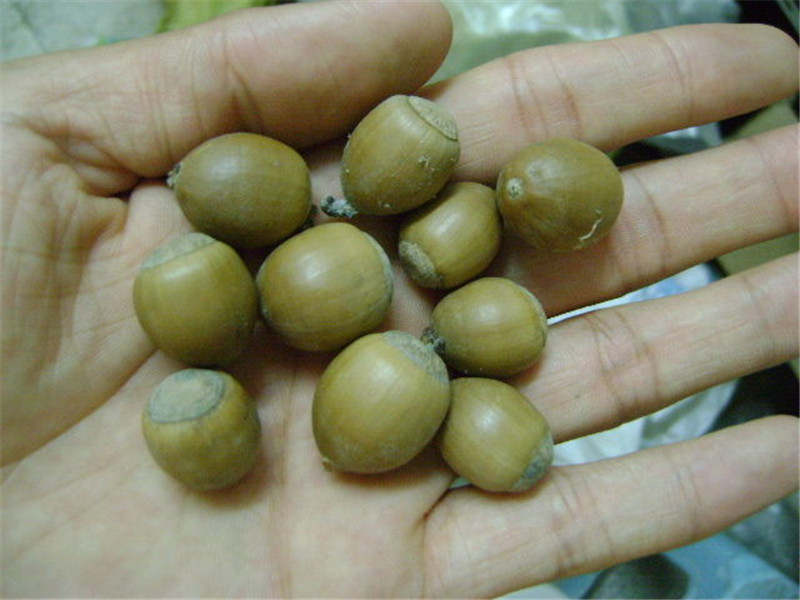 psb (35).jpg